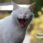 Morgenstress