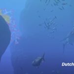 Multiplayer-Unterstuetzung-und-VR-Moeglichkeiten