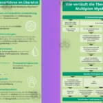 Myelom Was ist Das und wie geht man damit um 2