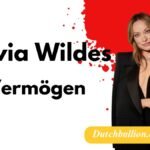 Olivia Wildes Vermögen