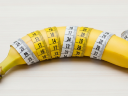 Optimale Penisgröße