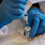 Polio-Alarm in New Yorks Abwasser