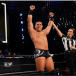 Professionelle Wrestling-Karriere