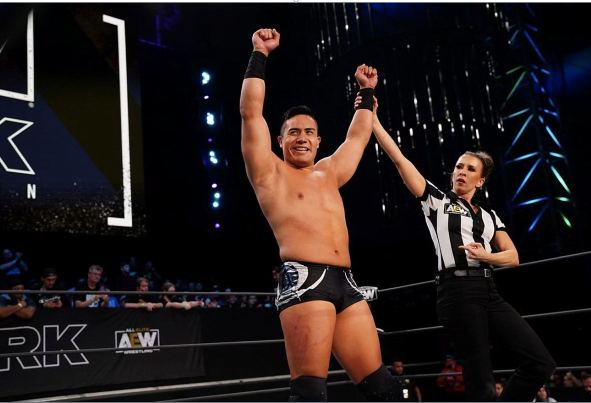 Professionelle Wrestling-Karriere