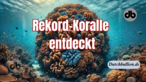 Rekord-Koralle entdeckt: „300 Jahre alt und länger als ein Blauwal“