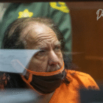 Ron Jeremys Reinvermögen