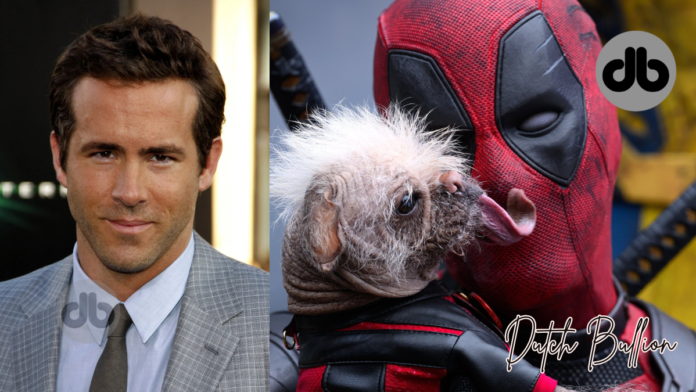 Ryan Reynolds will neue MCU-Zukunft für Deadpool