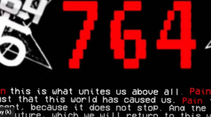 Sextortion-Ring 764