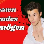 Shawn Mendes Reinvermögen