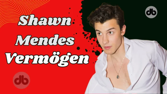 Shawn Mendes Reinvermögen