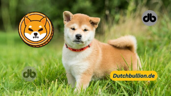 Shiba Inu's Shibarium Netzwerk verzeichnet 50% Zuwachs