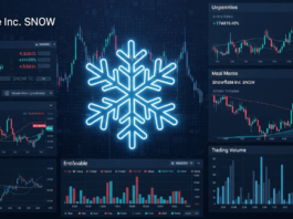 Snowflake-Aktie: Umfassende Analyse, Prognosen und Investment-Potenzial Snowflake-Aktie