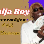 Soulja Boy Vermögen (3)