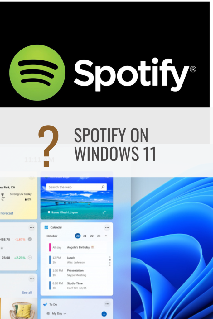 Spotify-App auf Windows 11 installieren