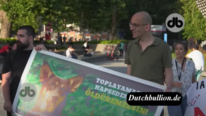 Streunender Hund in der Türkei