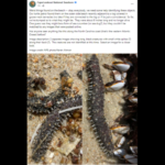 Suche-nach-Antworten