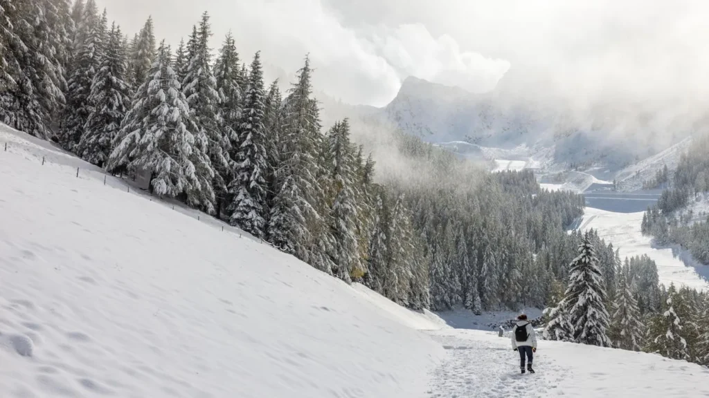 Südtirol: Die schönsten Winterwanderungen durch verschneite