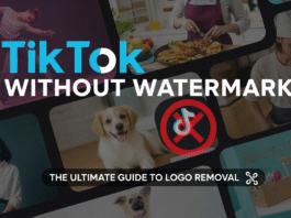 TikTok ohne Wasserzeichen