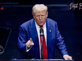 Trumps Zölle