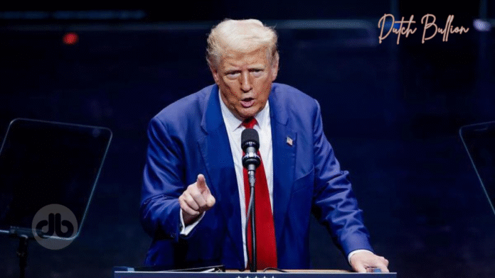 Trumps Zölle
