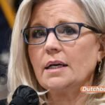 Trumps mutmaßliche Zeugenbeeinflussung