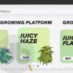 Unraveling-the-Scheme-Ponzi-Taktiken-und-falsche-Versprechungen