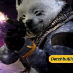 Warum hat Activision den HundWolf-Skin aus dem Blogpost zu CoD