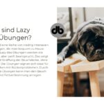 Was-sind-Lazy-Abs-Uebungen