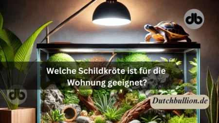 Welche Schildkröte ist für die Wohnung geeignet? Ein Ratgeber für angehende Halter