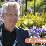 Wie-die-DeFi-die-globale-Position-des-Dollars-staerken-koennte