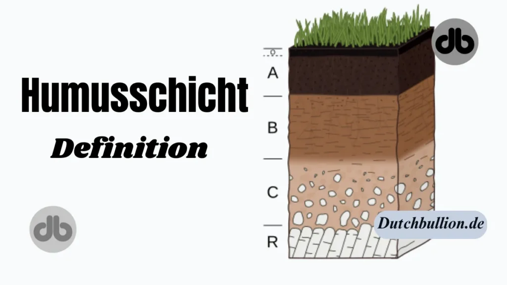 humusschicht definition