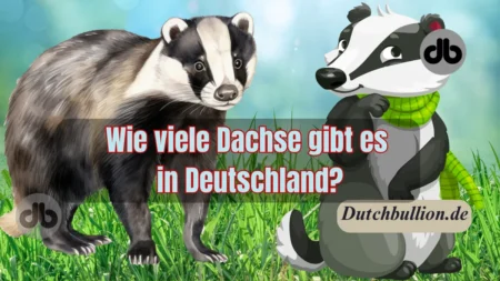 Wie viele Dachse gibt es in Deutschland? Eine umfassende Analyse