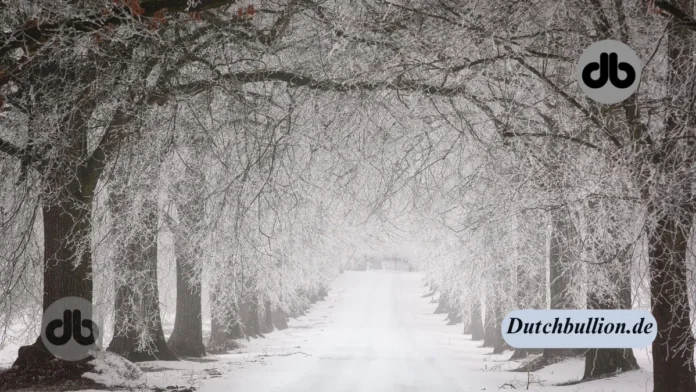 Wintereinbruch zum 2. Advent