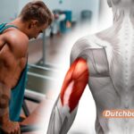 Wissenschaftlich fundierte Trizepsübungen für stärkere Arme