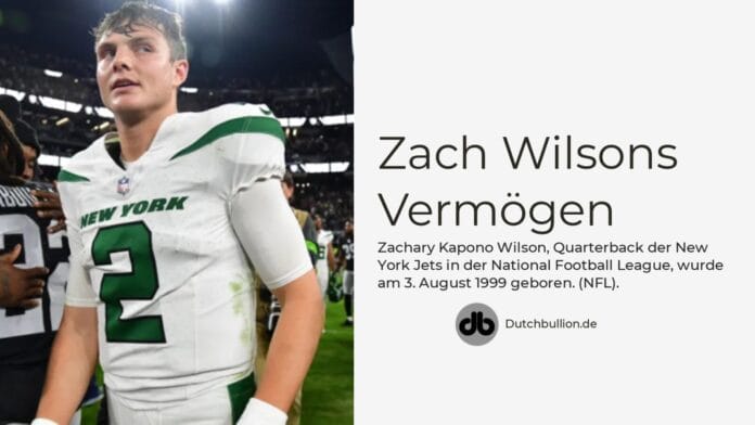 Zach Wilsons Vermögen