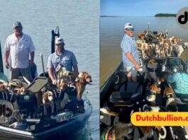 Zwei Freunde retten 38 Hunde aus dem See