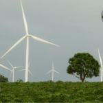 deutsche Energieeffizienzgesetz