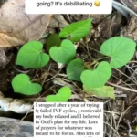 kourtney-kardashian-talks-conceiving-rocky-instagram