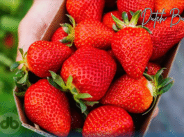 strawberry