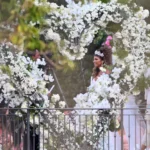 teresa giudice and husband luis ruelas kiss